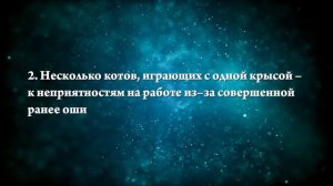 К чему снятся крысы и кошки - Онлайн Сонник Эксперт