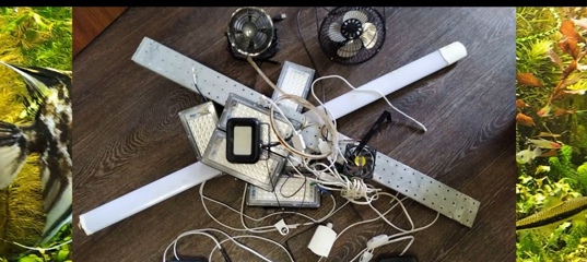 Свет в аквариуме. 550Вт на 220л такое бывает?! ч.2 смотреть онлайн