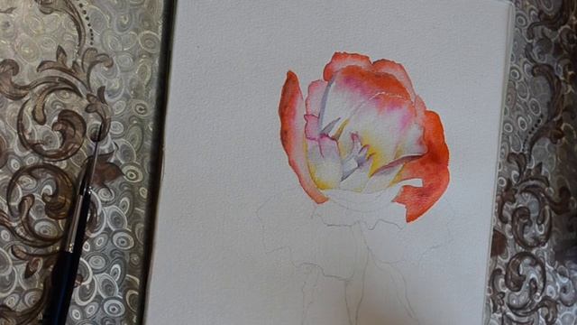Чайная роза. Акварель. смотреть онлайн