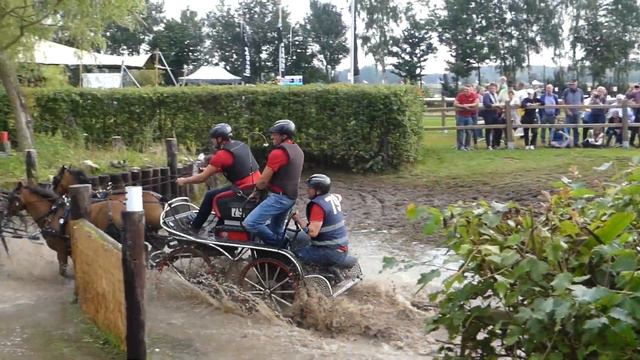 84 KNEIFEL Niels, GER, CH M P A 4, Oirschot, Marathon, Obs 4, 02 09 2023 смотреть онлайн