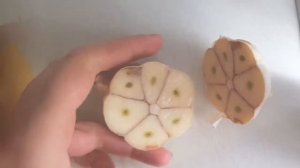 Запечённый Картофель c Айвой??Альтернатива обычной запеченной картошке. Baked Potatoes and Quince