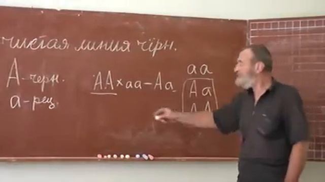 89 Анализирующее скрещивание