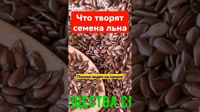 Семена льна вред или польза. #всеоздоровье #долголетие #семенальна