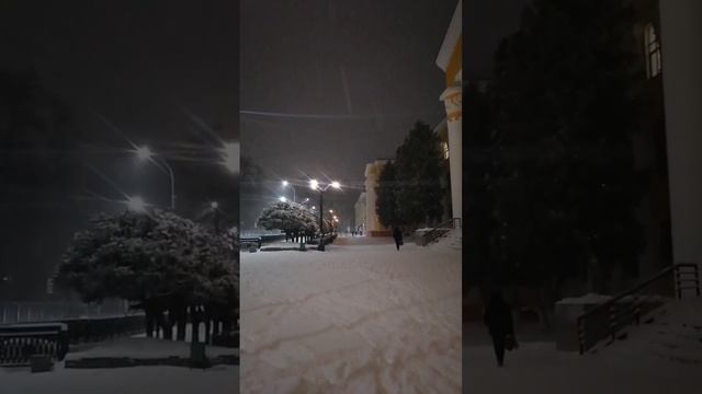 Родной лесотехнический и зимняя сказка ❄