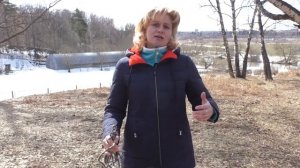 Как научить собаку не тянуть поводок. Часть 2 / Дрессировка собак