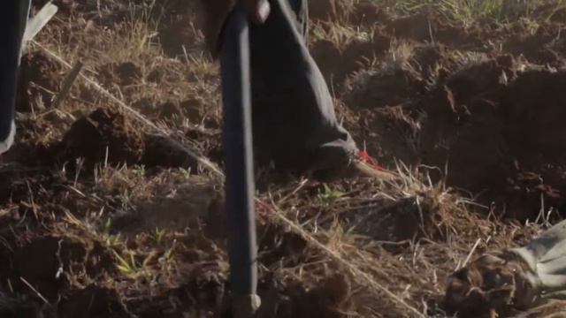 Bleu Agave 2019 смотреть онлайн