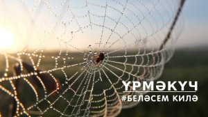 БЕЛӘСЕМ КИЛӘ: үрмәкүч / Паук / Spider