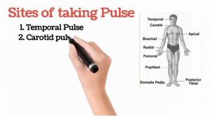 Vital sign| body temperature| pulse| Respiration rate| blood pressure|#vitalsign