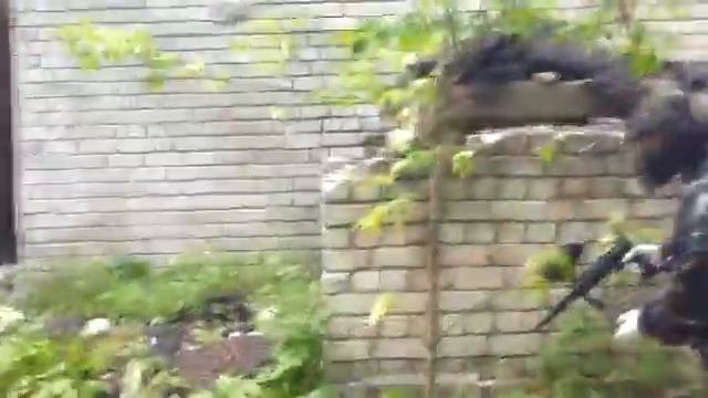 Пейнтбол под Борисполем смотреть онлайн