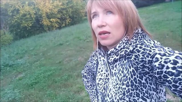 О Скорости Жизни и о Кайфе все делать медленно. смотреть онлайн