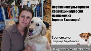 Агрессия - собака лает на прохожих - консультация зоопсихолога