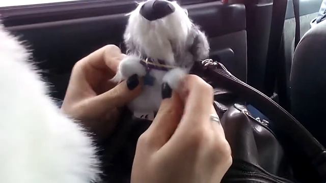 Опути меня, собака (funny son of a dog)