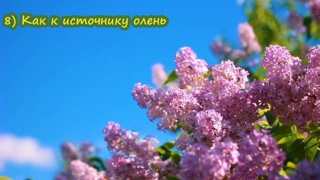 Виталий Исаев "Песни Возрождения III" (+минусы) смотреть онлайн