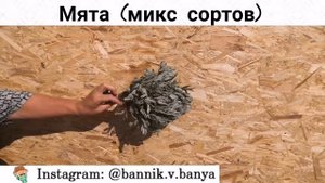 Веники для бани