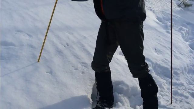 Тренировка по лавинной безопасности с лавинными датчиками и щупами смотреть онлайн