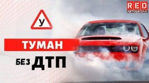 Всё, что Водителю нужно знать о Тумане! [Автошкола RED]