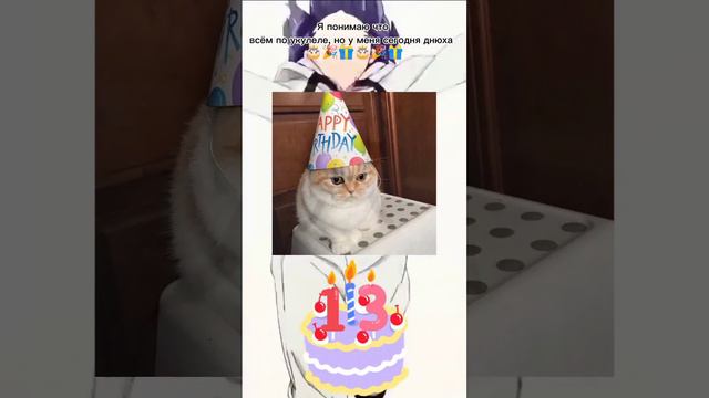 У меня сегодня день рождения🎂🎉🎁!!!              13 лет буду рад если поздравите и подпишитесь!!!