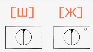 Постановка звука Ж _ Модель артикуляции звука Ж _ Детский логопед Оксана Мальгина