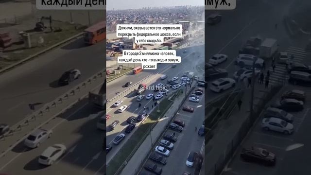 Более 30 протоколов составили на участников скандальной свадьбы в Краснодаре