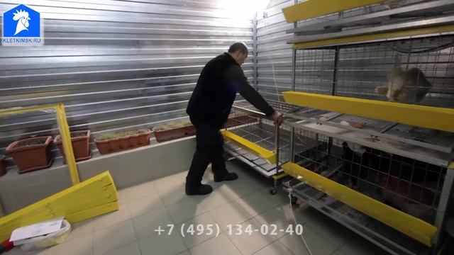 Сборка клеток для кур, перепелов от kletkimsk.ru завод изготовитель