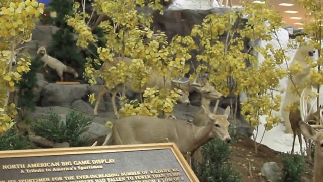 USA. Hershey and Cabelas. Шоколадная фабрика Херши и магазин Кабелас. США смотреть онлайн