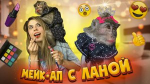 ОБЕЗЬЯНА ДЕЛАЕТ МНЕ МАКИЯЖ