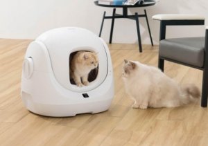 Интеллектуальный полностью автоматический кошачий туалет CATLINK