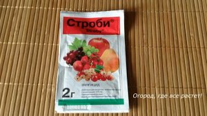 Что положить в лунку при посадке томатов, как сажать.mp4