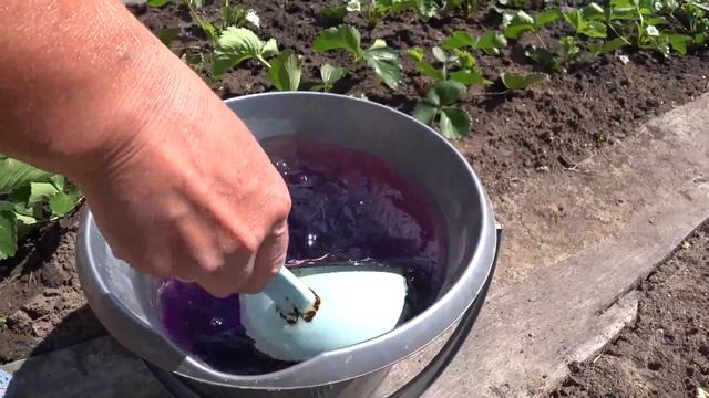 Супер подкормка для клубники. смотреть онлайн