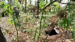 Видео от Армия РФ и Мир