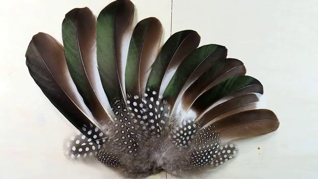 「E-M5＋M.ZUIKO 12-50mm F3.5-6.3」5軸対応手振れ補正OFFで手持ち撮影 смотреть онлайн