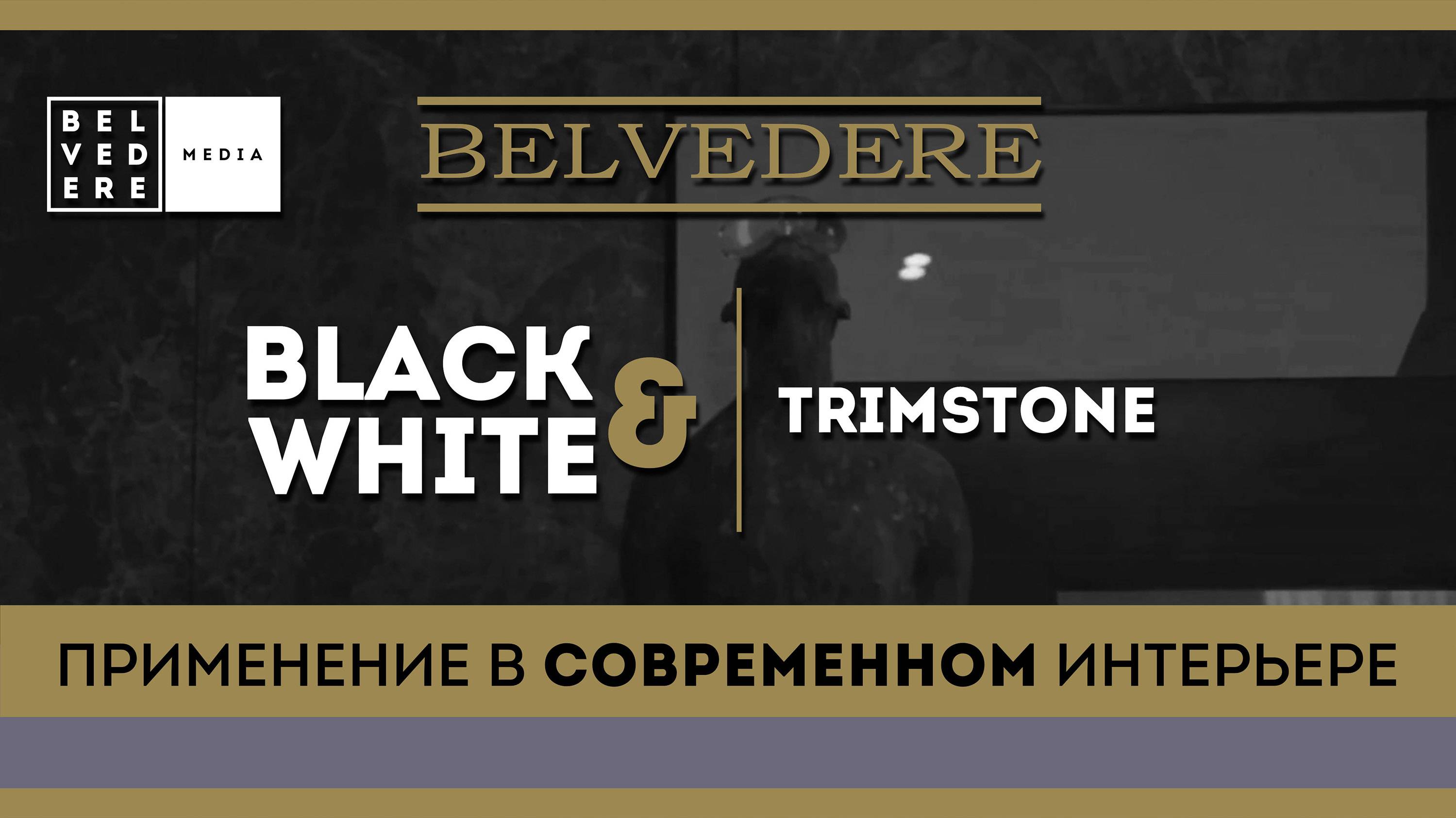 🔴 BLACK & WHITE | Trimstone. Применение в современном интерьере.