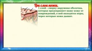 Природоведение 3 класс. Кожа. Значение кожи для организма человека. Гигиена кожи.