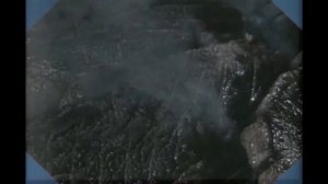 ЗАГАДОЧНАЯ ТЕЛЕПЕРЕДАЧА | Учебник улыбок / Страна грибов