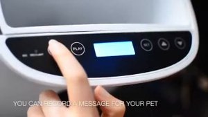 Automatic pet feeder автоматическая кормушка для собак и кошек