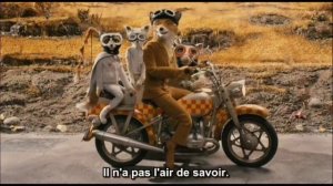 Canis Lupus, Vulpes Vulpes (FANTASTIC MR FOX)