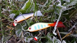 Балансиры Lucky John Baltic