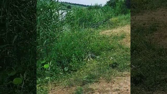 Рыбалка под Таганрогом смотреть онлайн