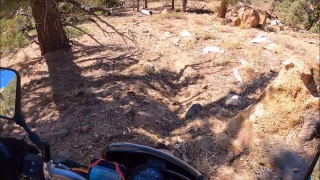 очередная установка камер ловушек смотреть онлайн