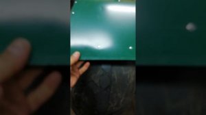 Крылья на каракат