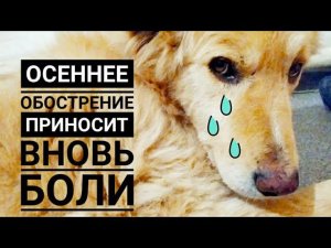 Ральфу опять ПЛОХО