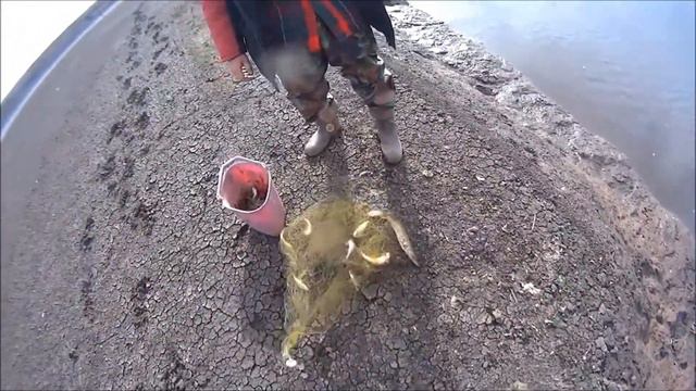 cast net смотреть онлайн