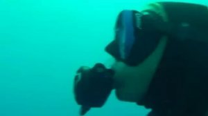 Дайвинг с акулами на Кубе.Diving with sharks in Cuba