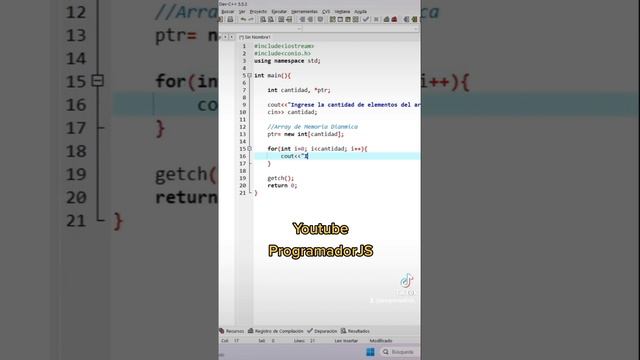 Array Dinámico en C++ | ProgramadorJS