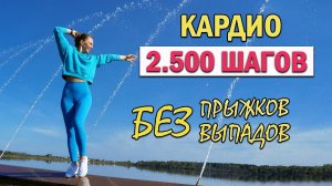 КАРДИО ТРЕНИРОВКА 2.500 ШАГОВ | Natinfitness