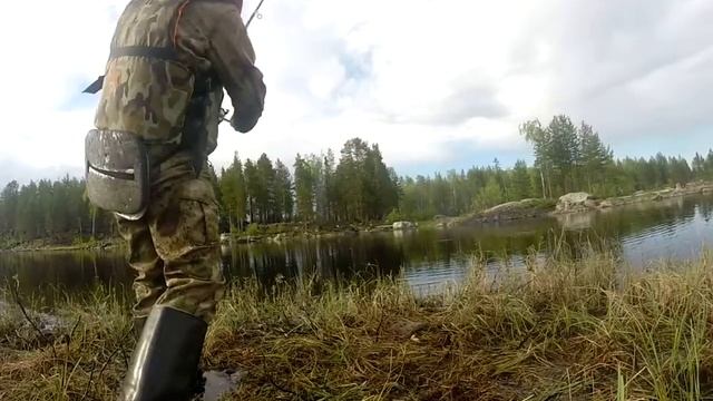 Хороший клев плотвы смотреть онлайн