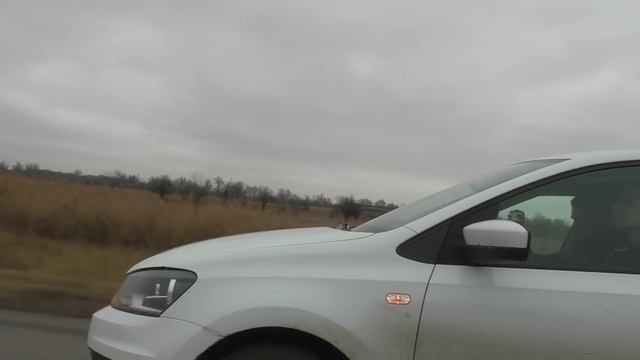 Lada Granta VS Volkswagen Polo. ТАЗы не валят? VAG прет! смотреть онлайн
