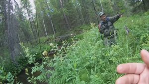 По новым рекам за хариусом.Полевое копчение хариуса.