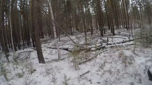 ВСЕ ДРОВА НАВОЗИЛ!!! Крайняя поездка за валежником!!!(ЧАСТЬ 2)