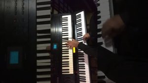 Casio VZ-1 with Casio CDP 230R